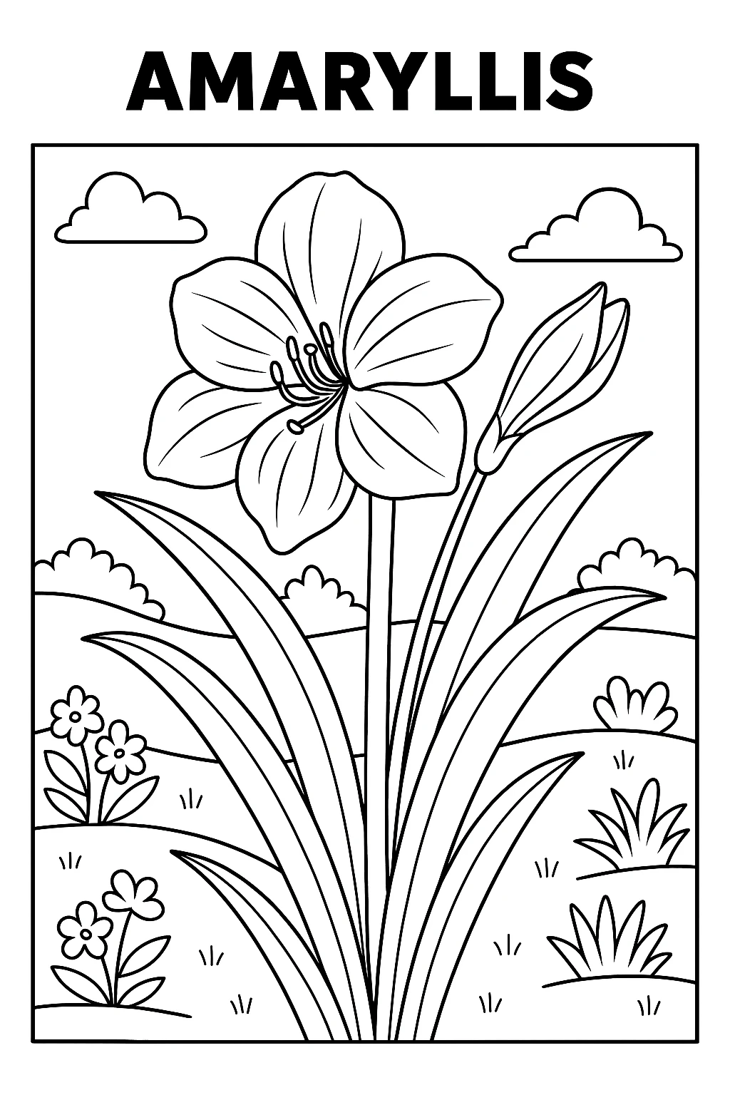Amaryllis, דף צביעה להדפסה לילדים