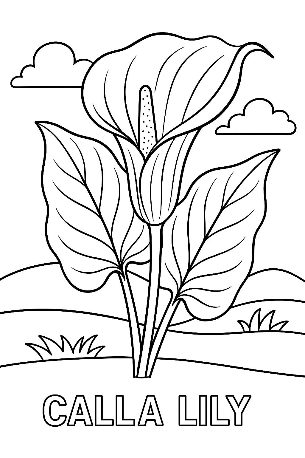 Calla Lily, דף צביעה להדפסה לילדים