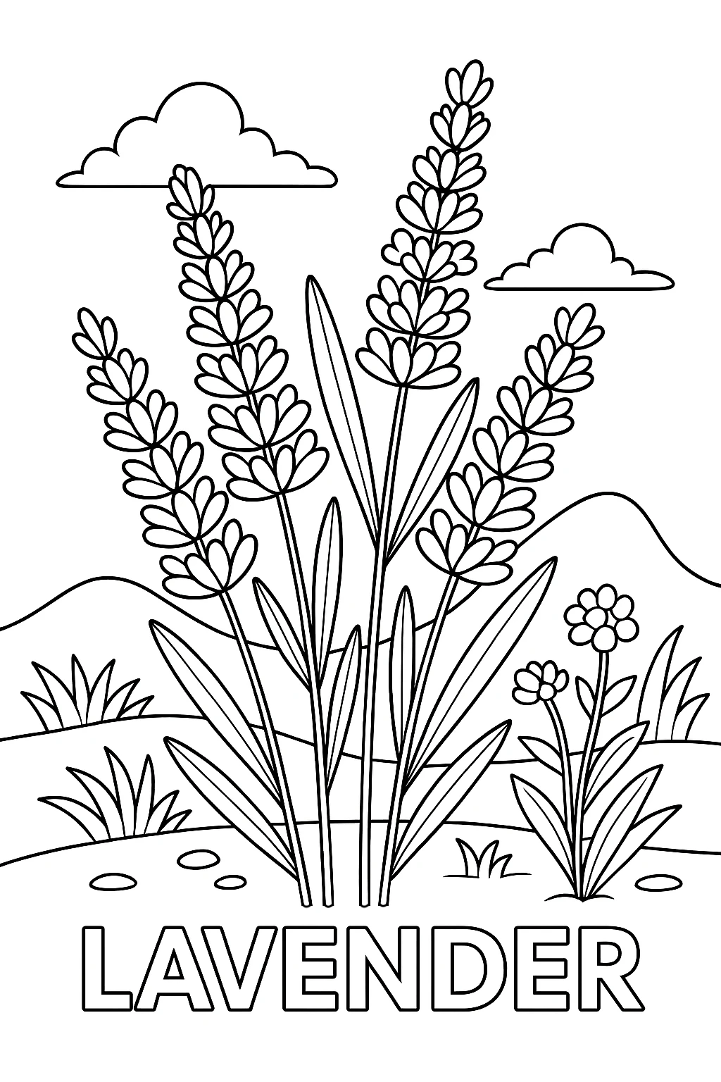 Lavender, דף צביעה להדפסה לילדים