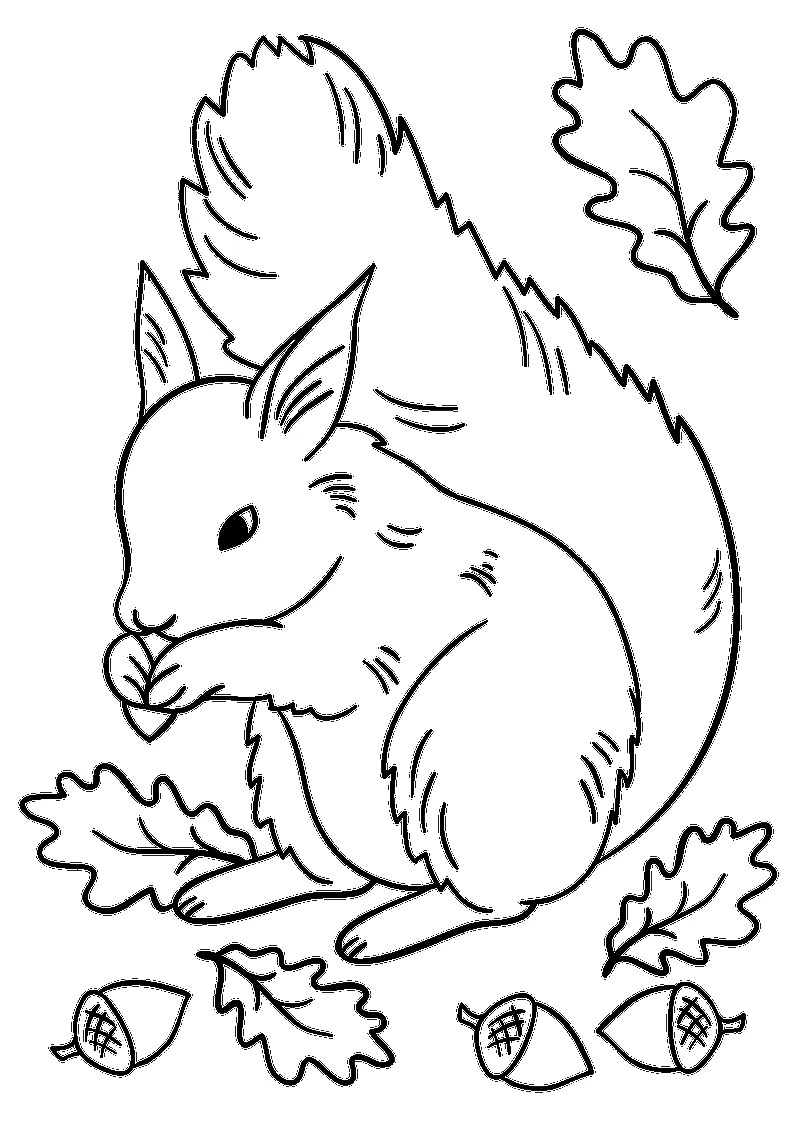 Squirrel, דף צביעה להדפסה לילדים